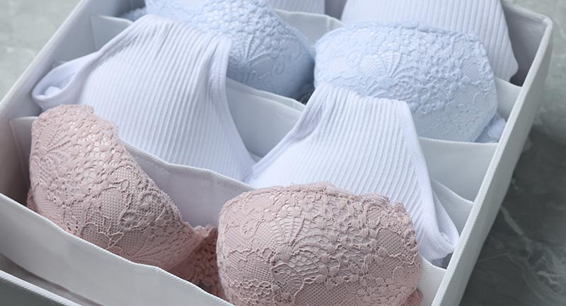 underwear